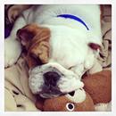 6664_10151452167330840_267199248_s